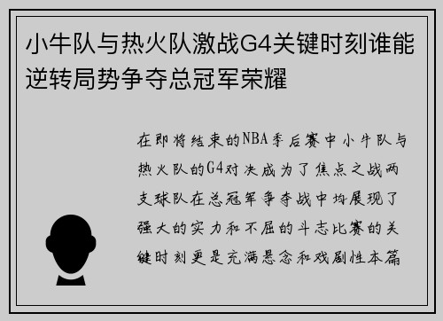 小牛队与热火队激战G4关键时刻谁能逆转局势争夺总冠军荣耀